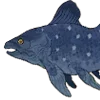 🐟