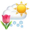 🌷