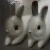 🐰