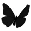 🦋