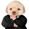 😎