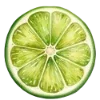 🍋‍🟩