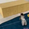 😳