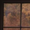 🍂