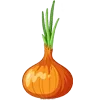🧅