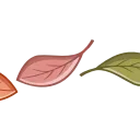 🍁