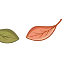🍁