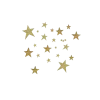 ✨