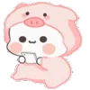 🐷