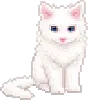 🐱