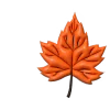 🍁