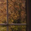 🍂