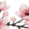 🌸