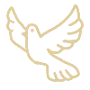 🕊️