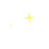 ✨