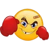 🥊