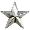 🌟
