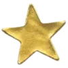 ✨