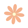 🌼