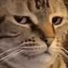 😐