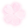 🌺