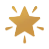 🌟