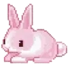 🐇