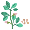 🌿
