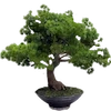 🌳