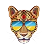 🐆