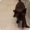 👀