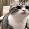 👃