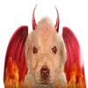 😈