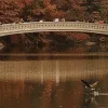 🍂