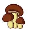 🍄