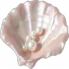 🐚