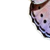 🦋