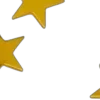 🌟