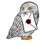 🦉