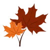 🍂