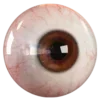 👁️