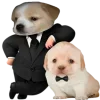 😎