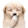 😀