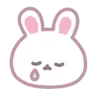 🐰