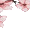🌸