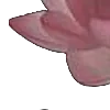 ⭐