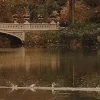 🍂