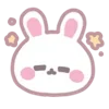 🐰