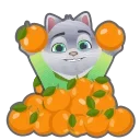 🍊
