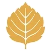 🍁